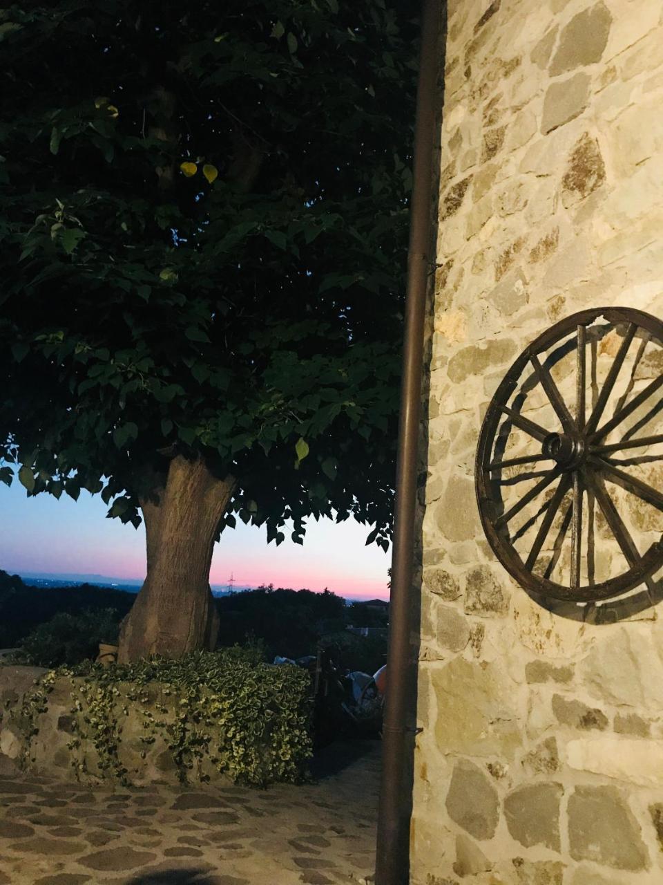 B&B La Casa Del Riccio Cinto Euganeo Exterior foto
